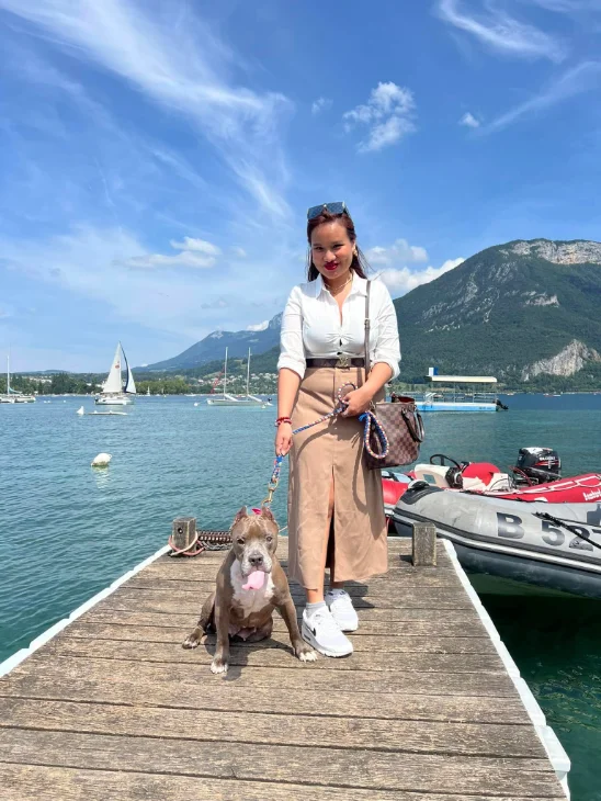 Pet relocation to Europe